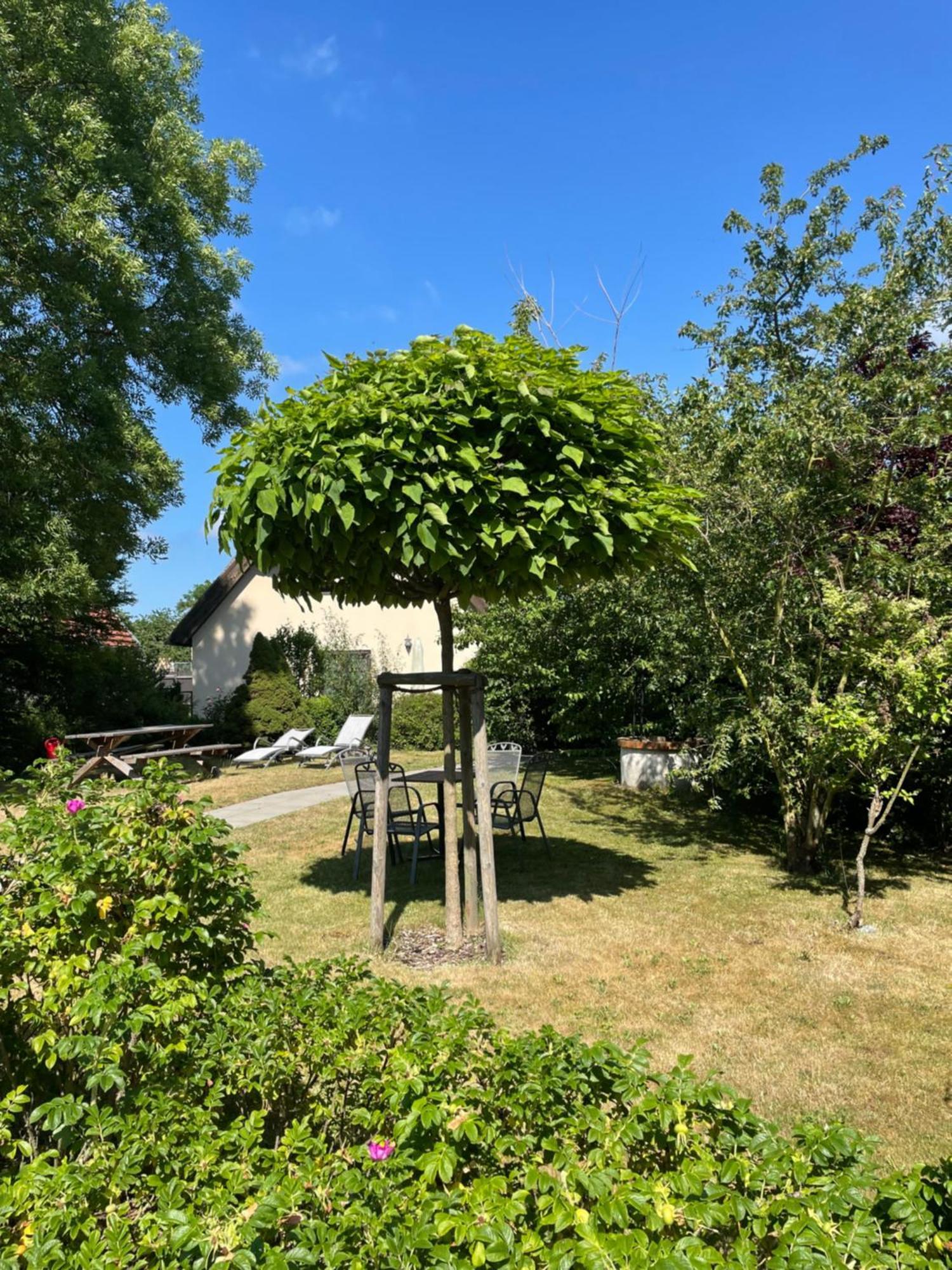 Fischerhus In Krummin - Nur Fuer Urlauber Kültér fotó