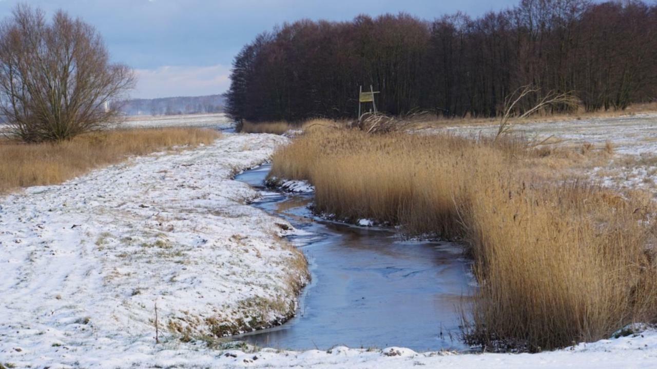 Fischerhus In Krummin - Nur Fuer Urlauber Kültér fotó